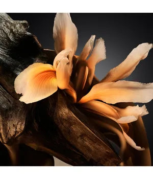 عطر هوغو بوس بوس المعبأ