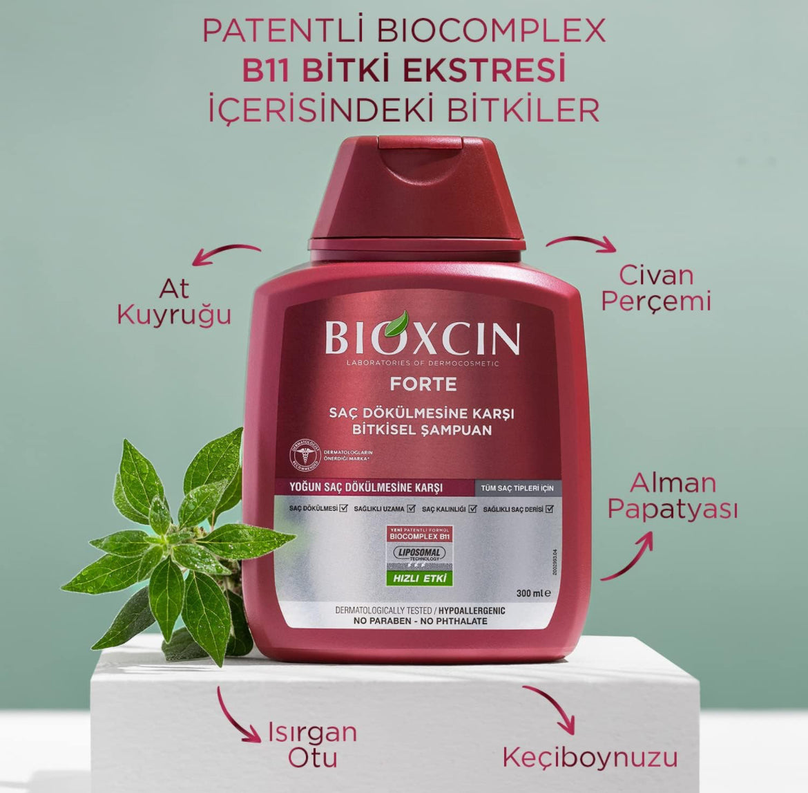 Bioxcin Shampoing Pour La Perte De Cheveux Forte - Pour Femme Et Homme