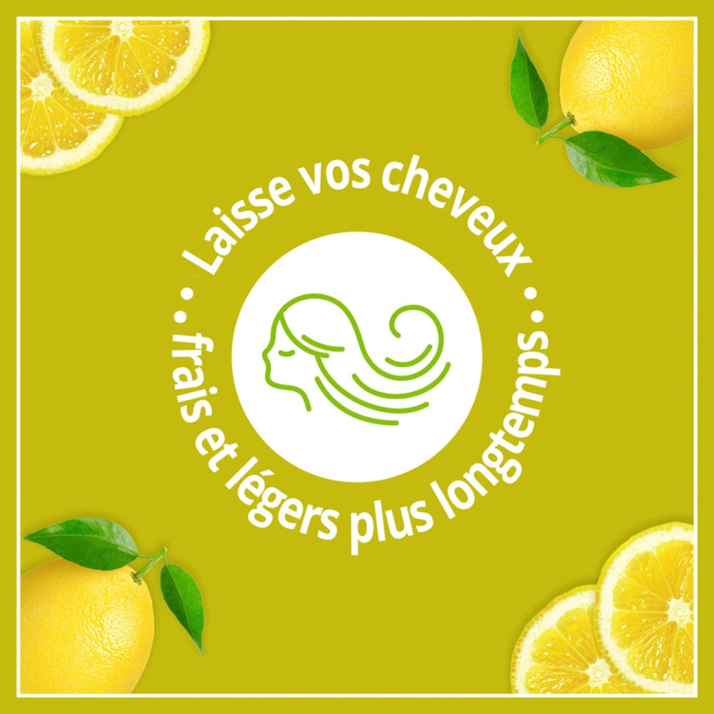 Le Petit Marseillais Shampooing Détox Fraicheur Infusion De Thé Vert Bio